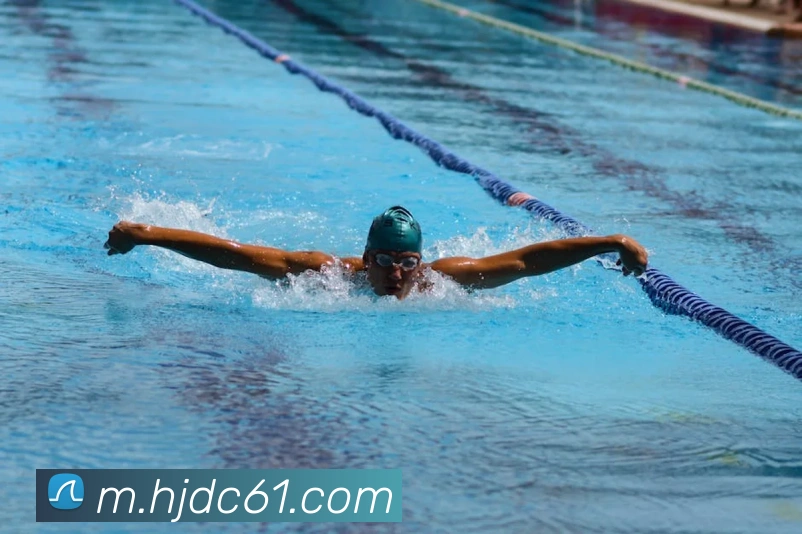 App Interface Preview