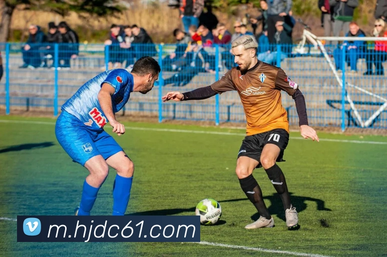 皇家赌场hjdcAPP 封面图